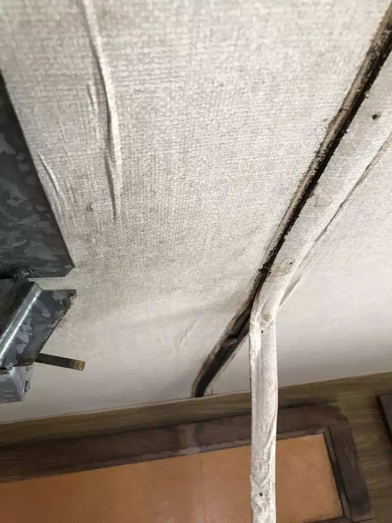 Cabin RV roof damage repair Tampa Florida